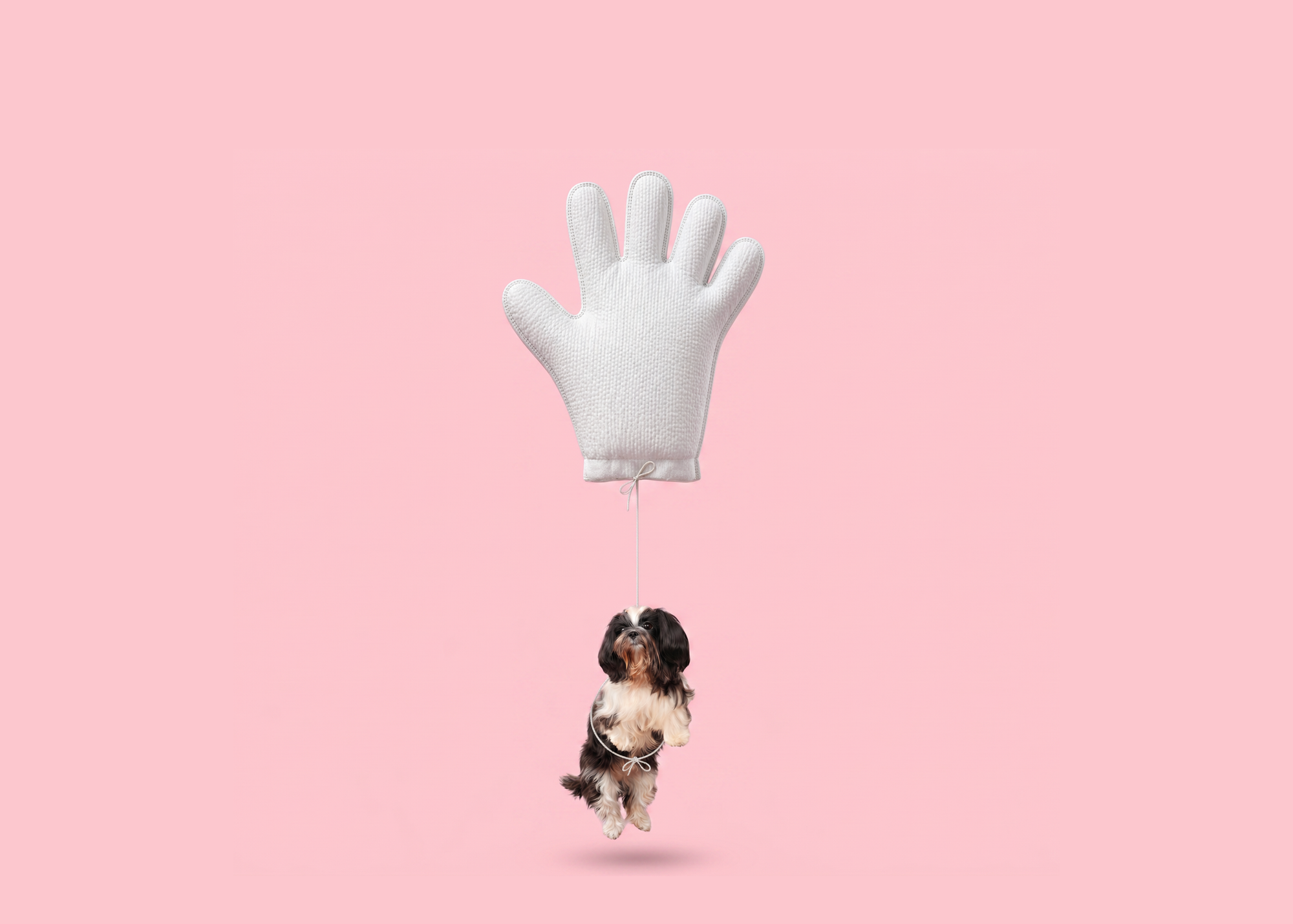Vet-certified glove wipes, <br>For cleaner, happier pets.