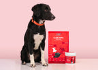 Roth Starter Care Kit – Dogs