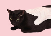Roth Glove Wipes for Cats (4 pc)
