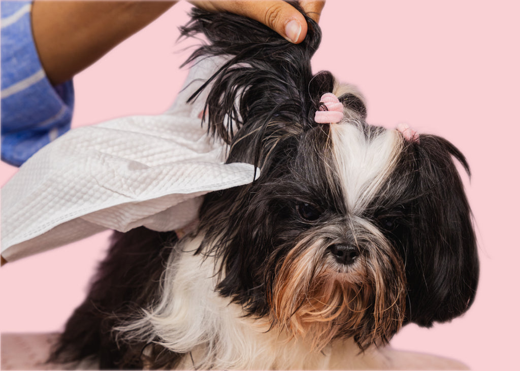 Roth Glove Wipes for Pets (30 pc)